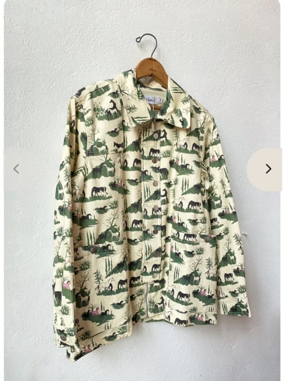 Rachel Antonoff Lizzie denim barn jean jacket in horse girl print cream green S - Picture 11 of 14